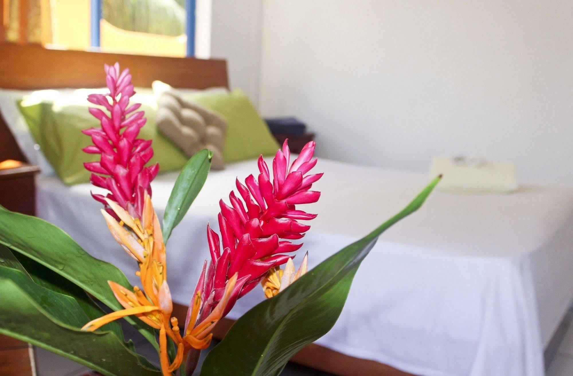 Vicky'S Holiday Apartment Beau Vallon  Εξωτερικό φωτογραφία